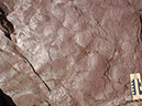 PA250028