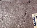 PA250020