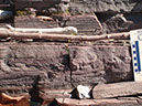PA250031