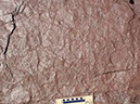 PA250026