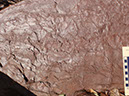 PA250022