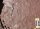 PA250025