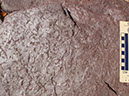 PA250024