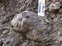 PA250002