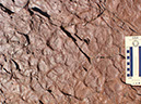 PA250036