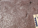 PA250019