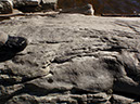 PA250040