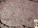 PA250023