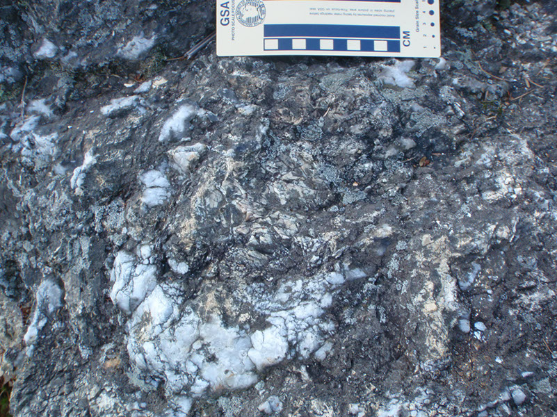 PB080015