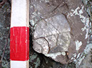 PB080009