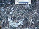 PB080015