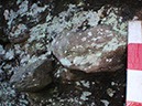 PB080010