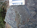 PB080017