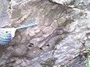 %_tempFileNamePhoto09291023%