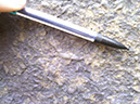 %_tempFileNamePhoto09291027_1%