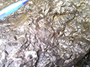 %_tempFileNamePhoto09301045%