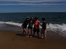 %_tempFileNameP9120010%