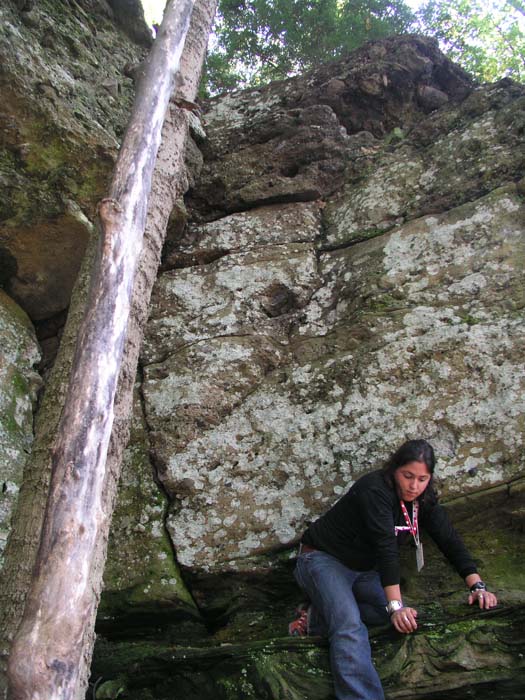 P1010038