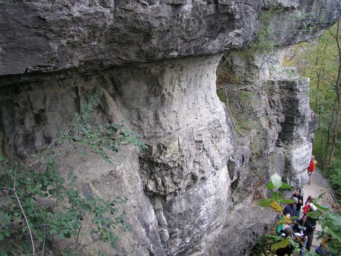 P1010018