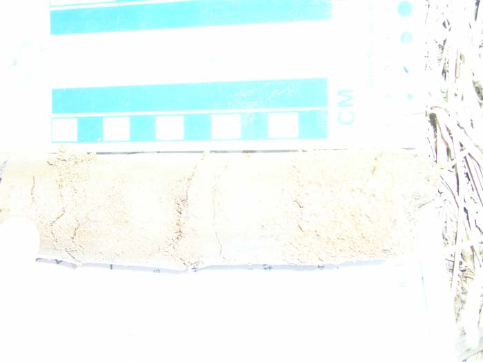 P1010061
