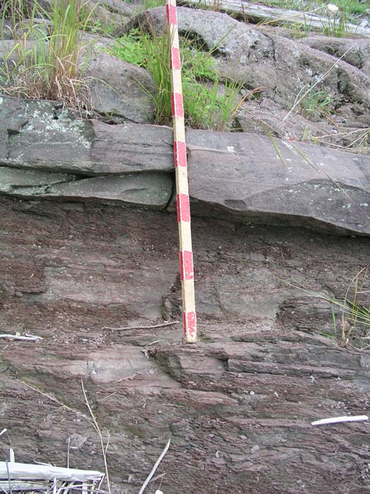 P1010006