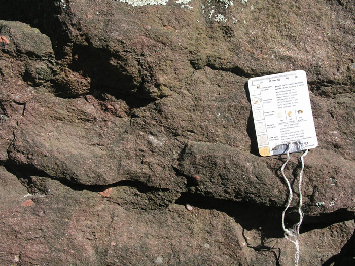 P1010004
