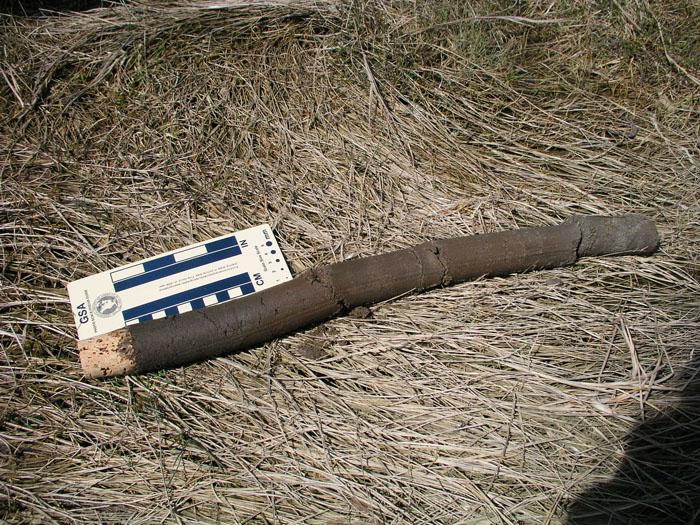P1010001
