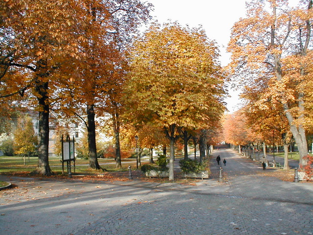 Parc des Bastion (University in background)