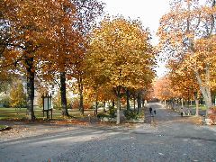 Parc des Bastion (University in background)