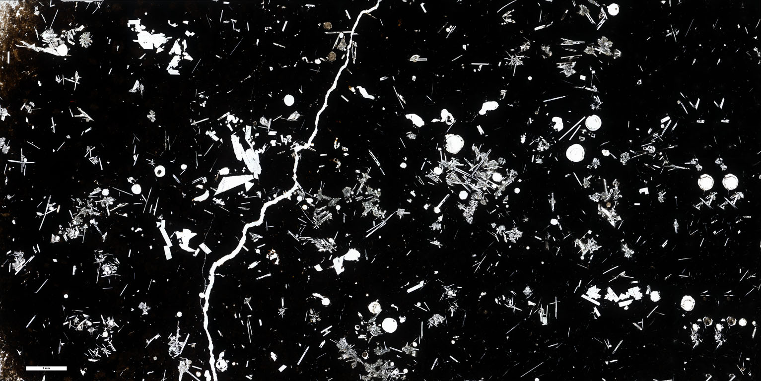 ALV-2268 Thin Section