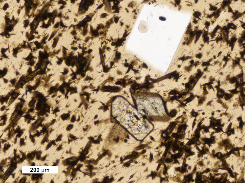 Basalt Thin Section