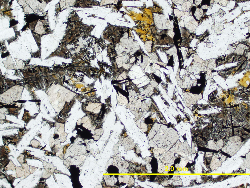 Basalt Thin Section  PPL