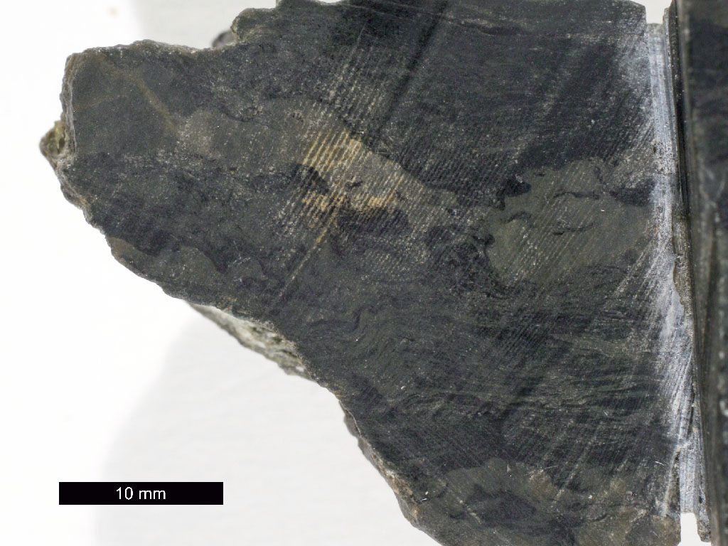 cmSerpentinite Hand Sample