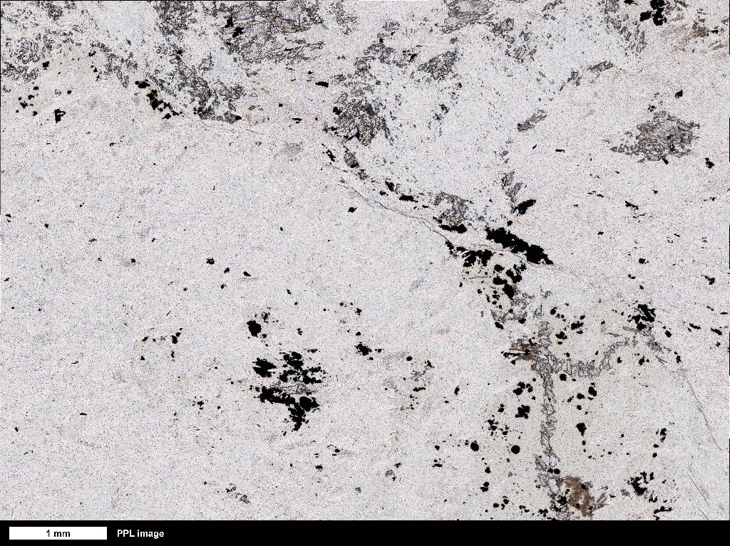 cmSerpentinite Thin Section