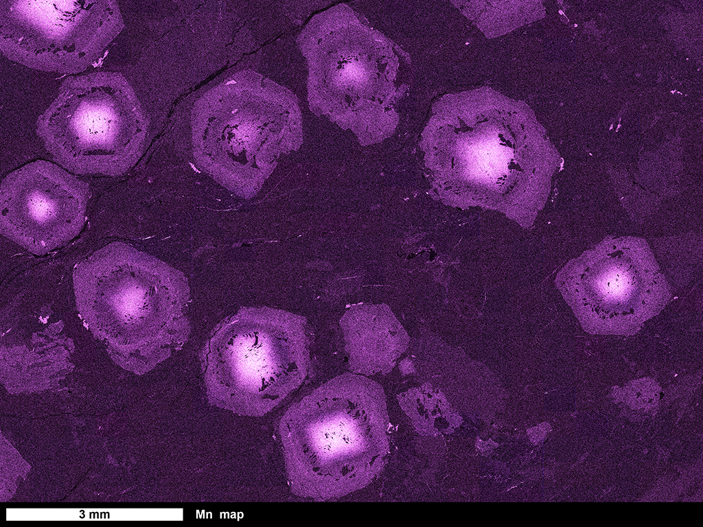 Mn map of thin section