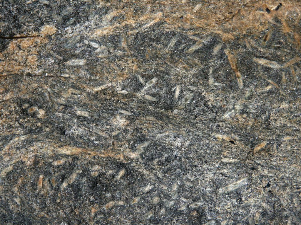 Staurolite Pseudomorphs in Schist