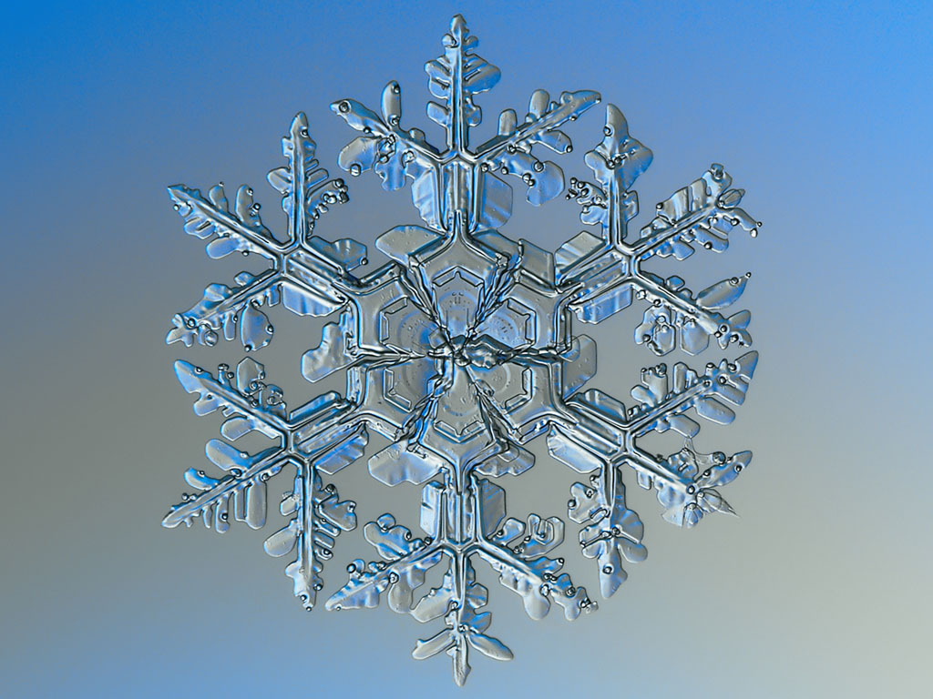 snowflake closeup