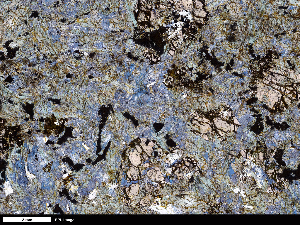 Schist Thin Section