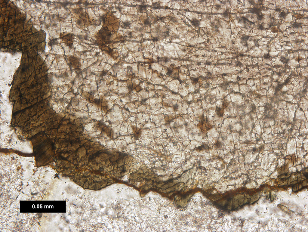 John Brady Photo thin section image