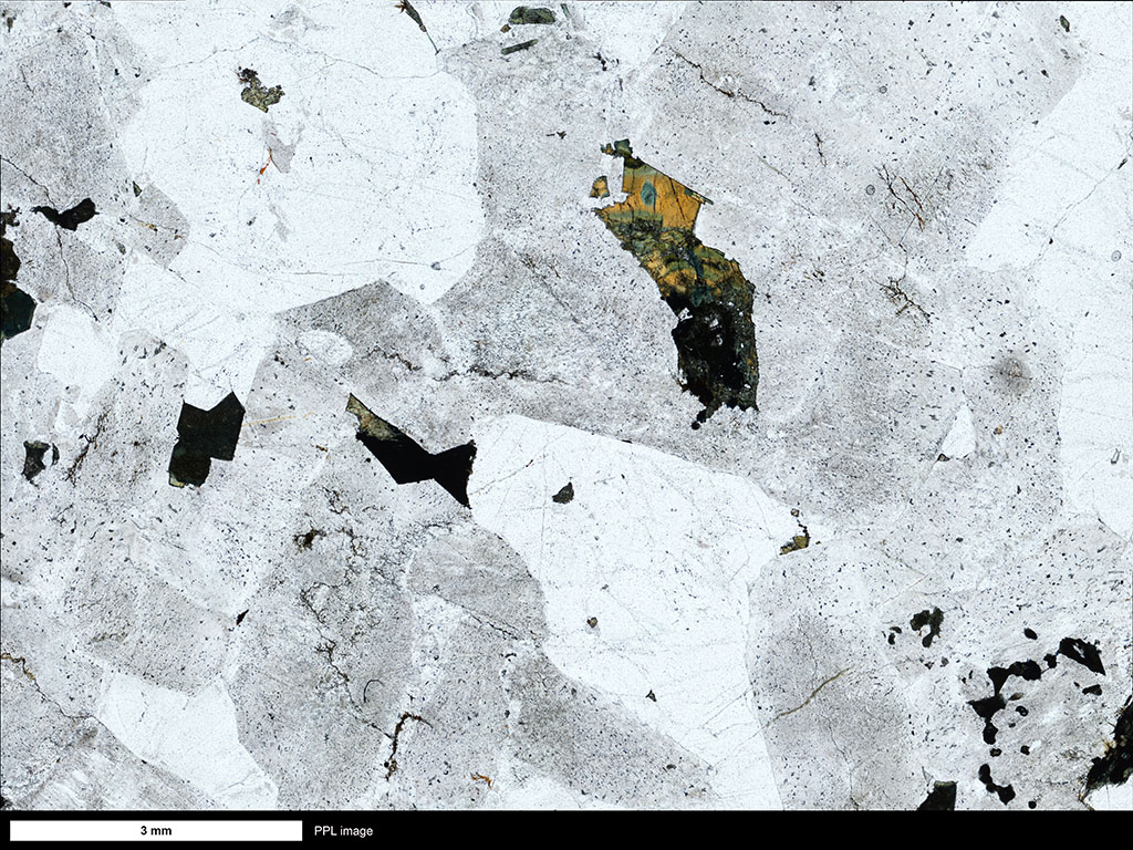 Cape Ann Granite Thin Section