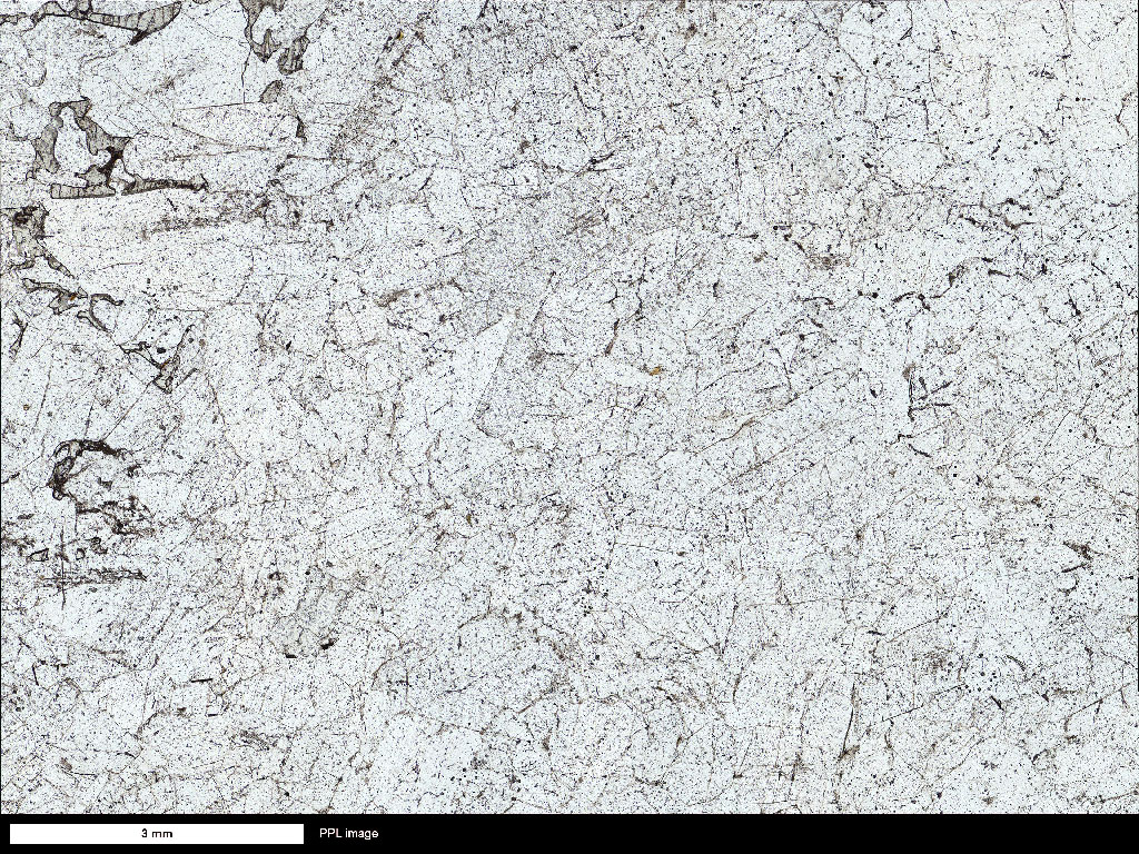 Anorthosite Thin Section
