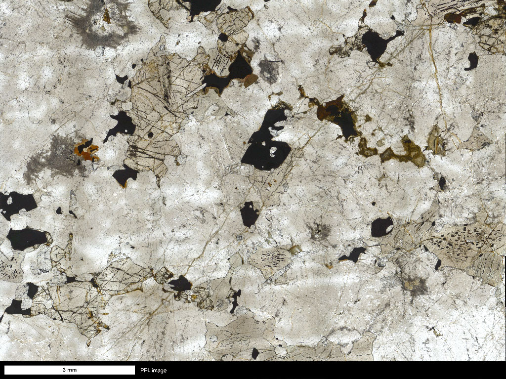 KI-4144 Thin Section