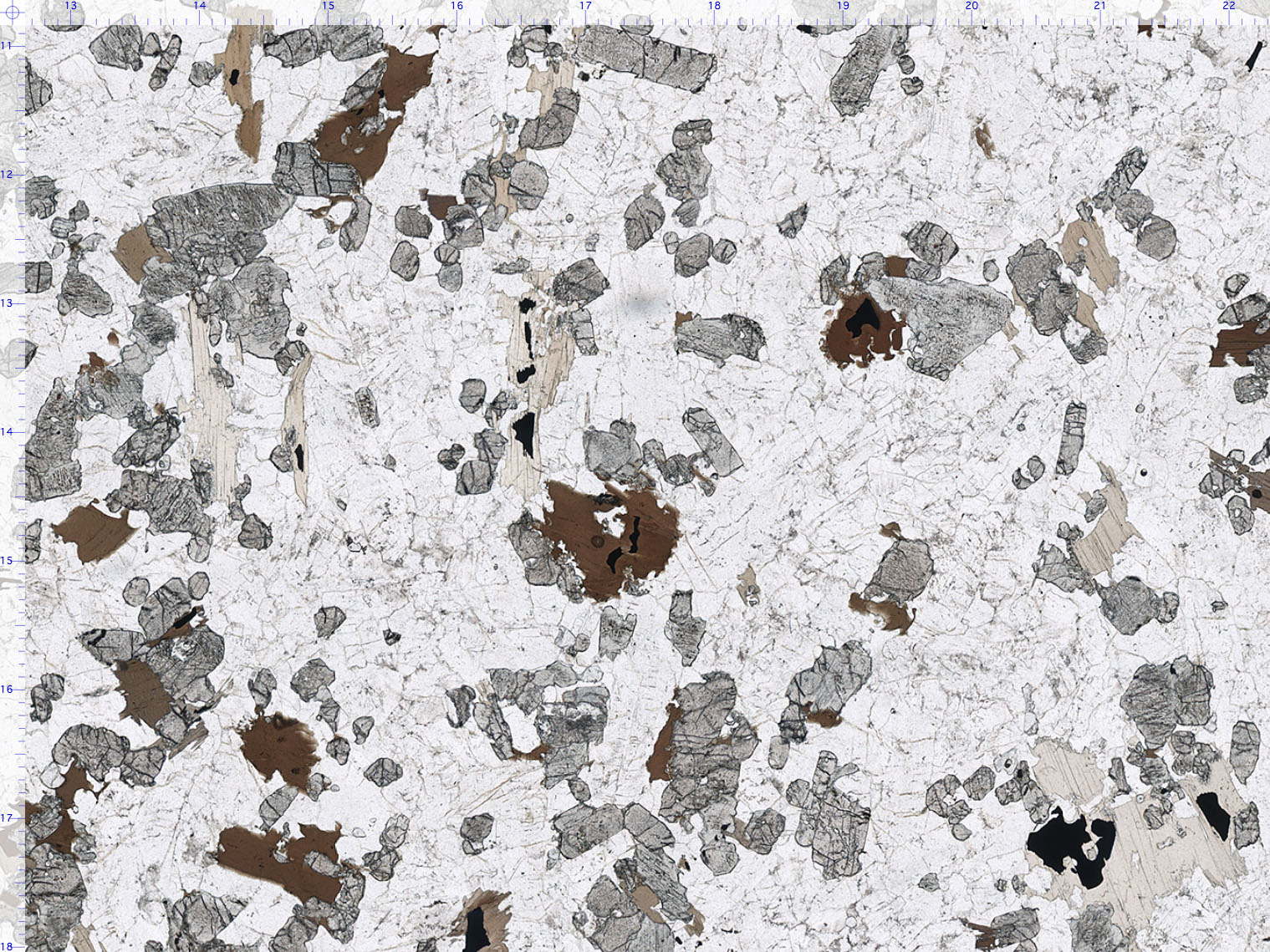 Diorite Thin Section