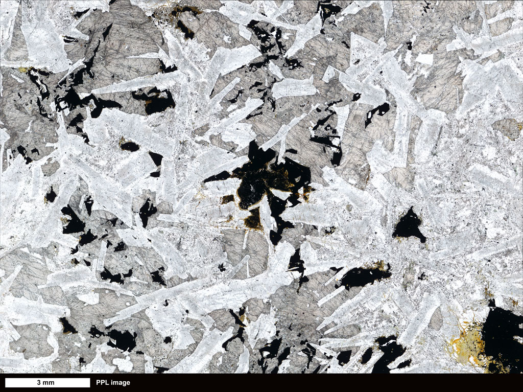 Diorite Thin Section
