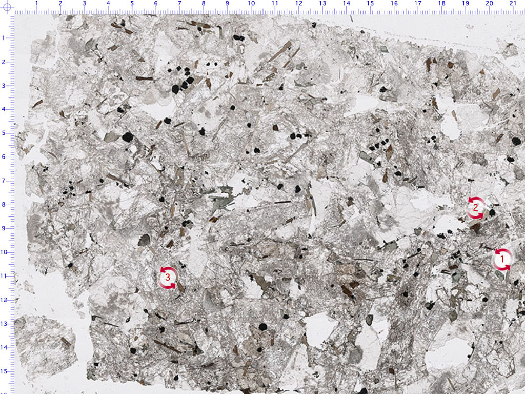 Foid-bearing Syenite Thin Section