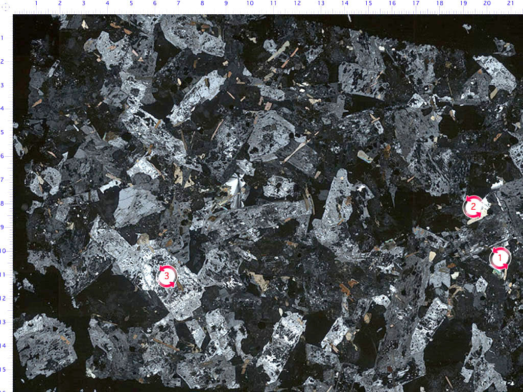 Foid-bearing Syenite Thin Section