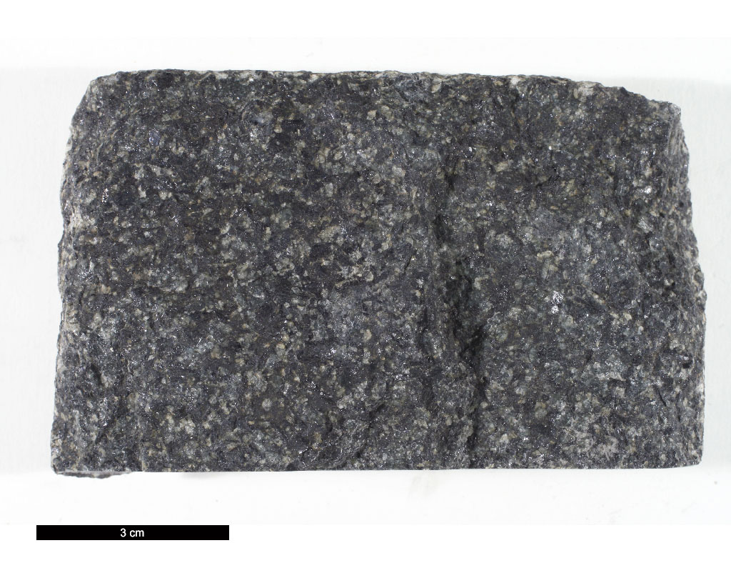 Foid Monzodiorite Hand Sample