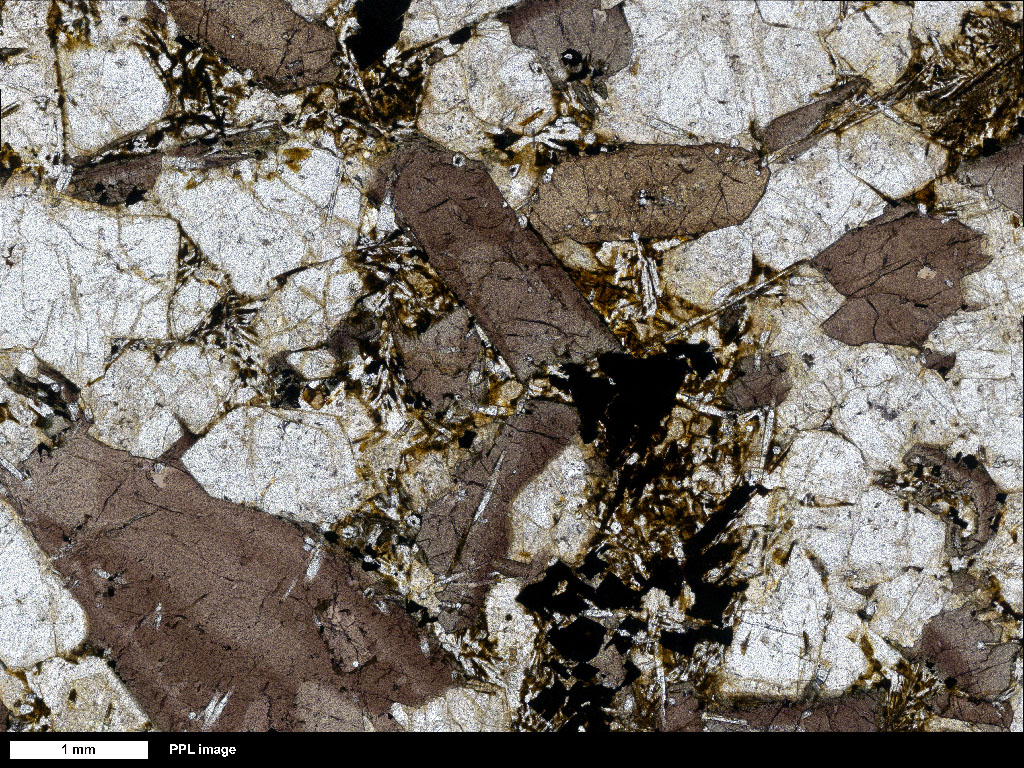 Foid Monzodiorite Thin Section