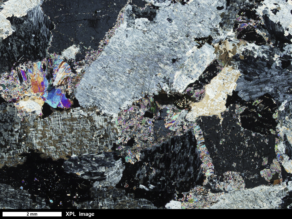 Foid Monzosyenite Thin Section