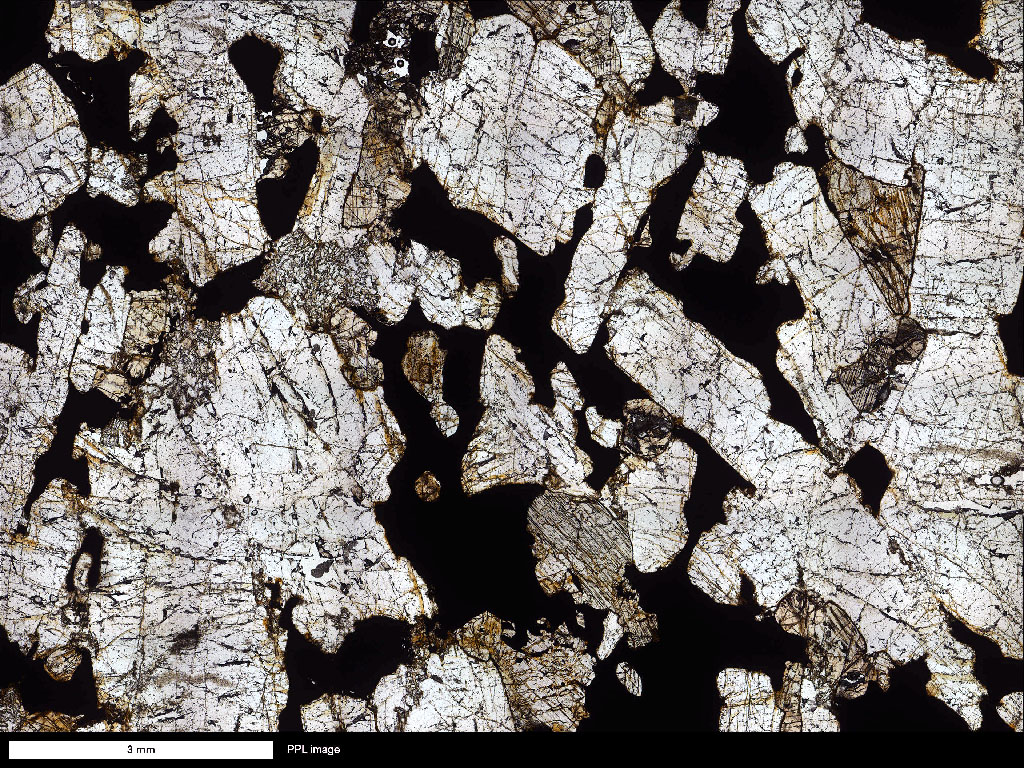 Gabbro Thin Section